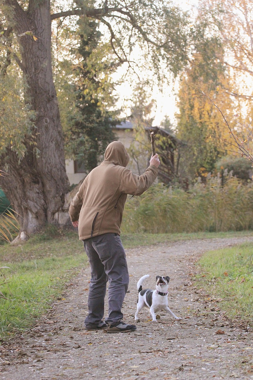 ontdek alles wat je als hondenbezitter moet weten. van verzorging en voeding tot training en gezondheid; geef je viervoeter het beste leven!