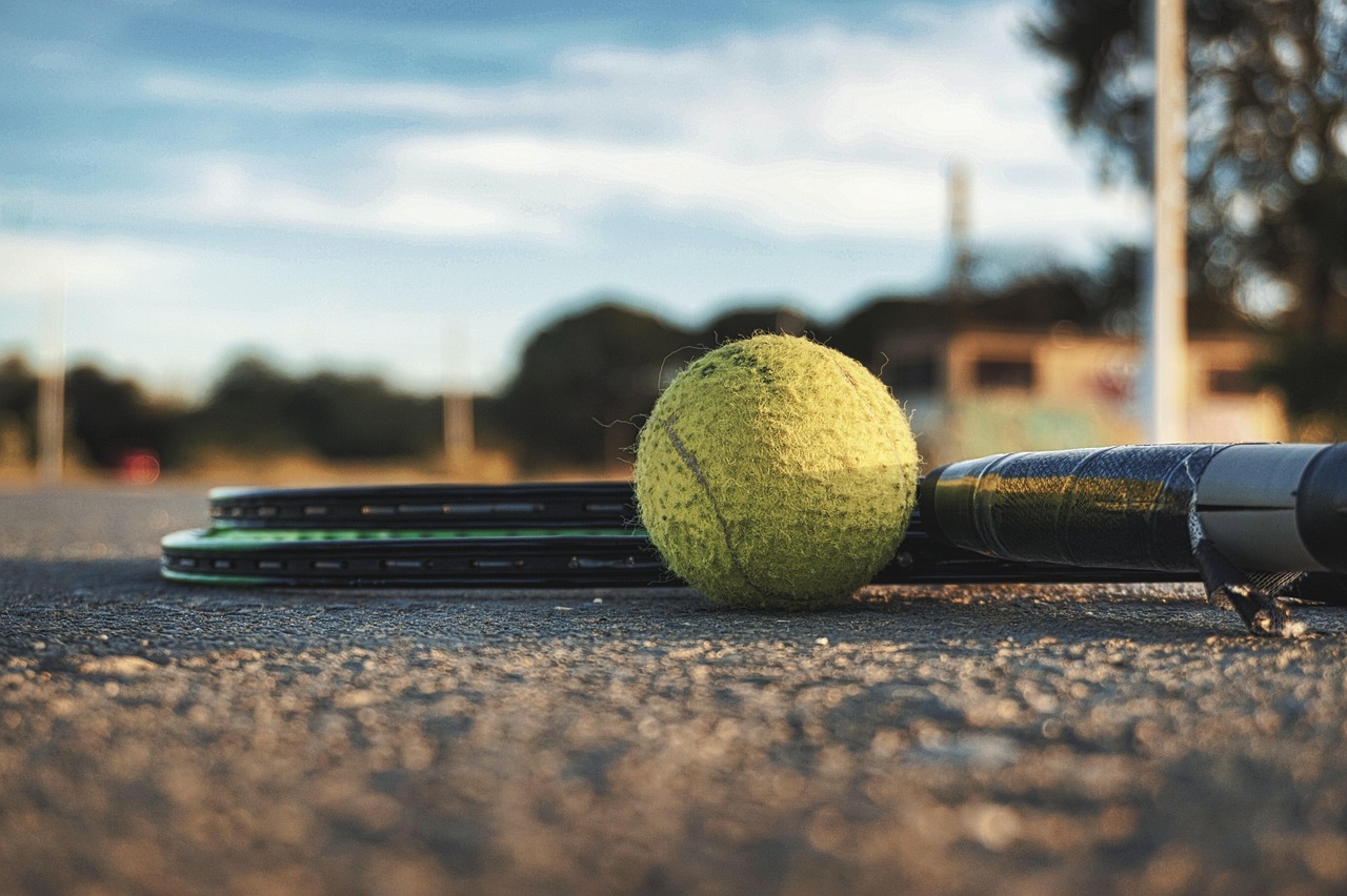 ontdek de essentiã«le stappen voor een succesvolle voorbereiding op hondensport. van trainingstechnieken tot voeding en mentale voorbereiding, onze gids helpt je en je hond om optimaal te presteren!